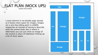 FLAT PLAN (MOCK UPS)
DOUBLE PAGE SPREAD
I used columns in my double page spread
as it leaves more space for images. Images
are a very big selling point in wildlife
magazines as instead of having to describe
what the animal looks like or where it
hibernates you can just show an image of
the animal or place of habitation freeing up
a lot of more space.
 