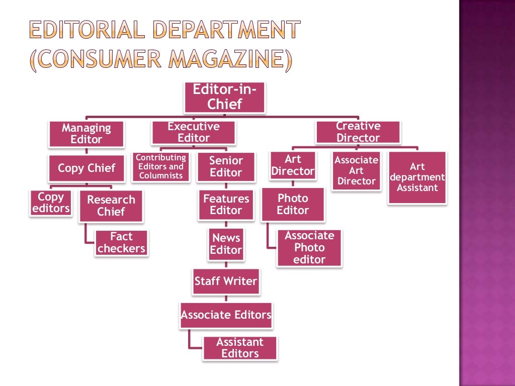 Organization Structure of the Magazine Industry
