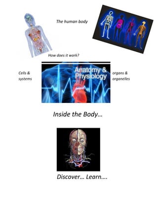 The human body




          How does it work?



Cells &                           organs &
systems                           organelles




            Inside the Body…




              Discover… Learn….
 
