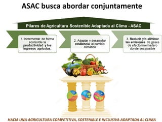 Estrategia agricultura sostenible adaptada al clima para la región del SICA (2018-2030)
