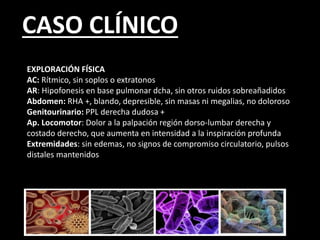 CASO CLÍNICO
EXPLORACIÓN FÍSICA
AC: Rítmico, sin soplos o extratonos
AR: Hipofonesis en base pulmonar dcha, sin otros ruidos sobreañadidos
Abdomen: RHA +, blando, depresible, sin masas ni megalias, no doloroso
Genitourinario: PPL derecha dudosa +
Ap. Locomotor: Dolor a la palpación región dorso-lumbar derecha y
costado derecho, que aumenta en intensidad a la inspiración profunda
Extremidades: sin edemas, no signos de compromiso circulatorio, pulsos
distales mantenidos
 