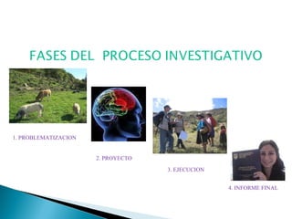 1. PROBLEMATIZACION 2. PROYECTO 3. EJECUCION 4. INFORME FINAL 