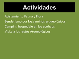 Actividades
Avistamiento Fauna y Flora
Senderismo por los caminos arqueológicos
Campin , hospedaje en los ecohabs
Visita a los restos Arqueológicos
 