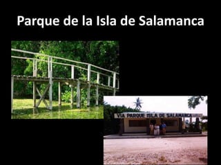 Parque de la Isla de Salamanca
 