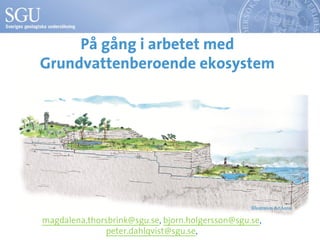 På gång i arbetet med
Grundvattenberoende ekosystem
magdalena.thorsbrink@sgu.se, bjorn.holgersson@sgu.se,
peter.dahlqvist@sgu.se,
Illustration ArtAnna
 