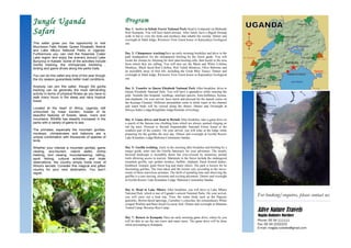 Magda's brochure | PPT