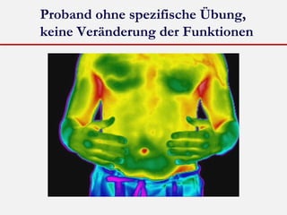Proband ohne spezifische Übung,
keine Veränderung der Funktionen

 