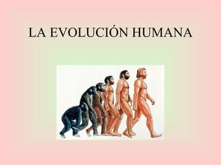 LA EVOLUCIÓN HUMANA 