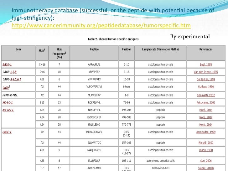 event rundown sample