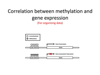 Correlation between methylation and
           gene expression
            (For organizing data)
 