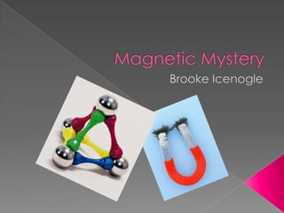 Magnetic Mystery Brooke Icenogle 