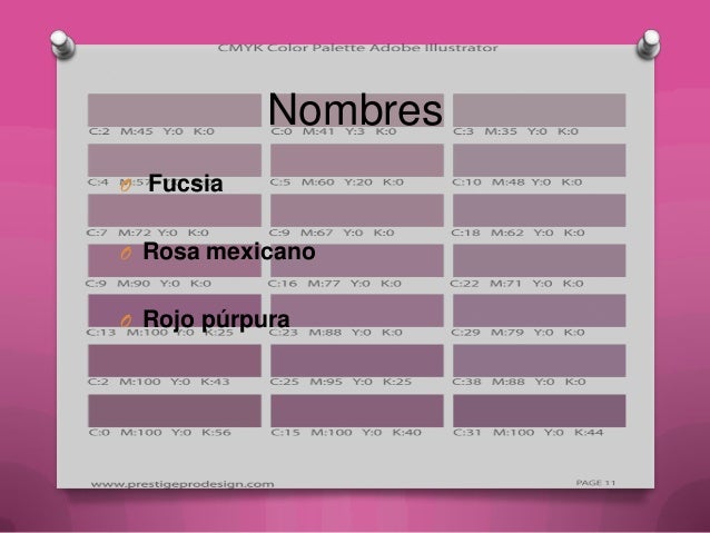 Diferencia Entre Color Buganvilla Y Fucsia