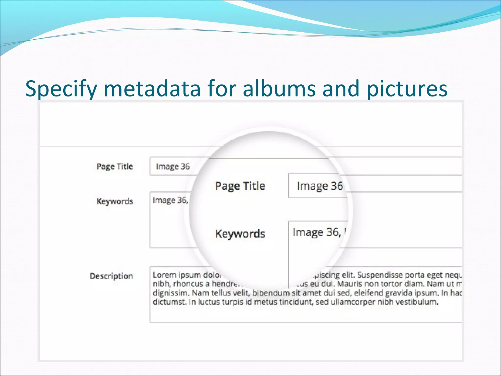Specify metadata for albums and pictures