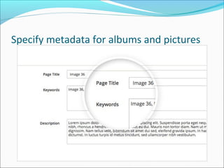 Specify metadata for albums and pictures