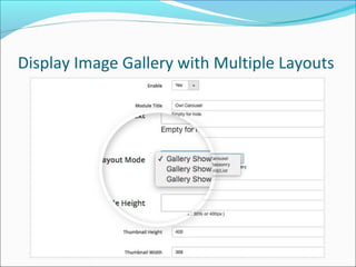 Display Image Gallery with Multiple Layouts
 