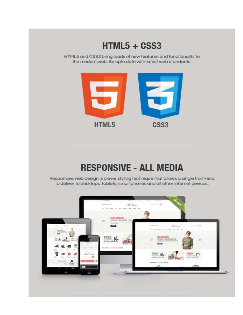 Magento responsive theme