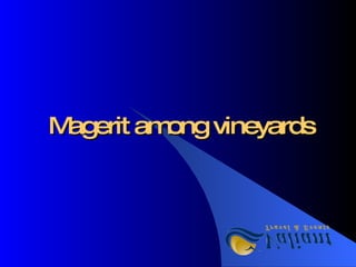 Magerit among vineyards 