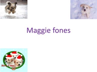 Maggie fones
 