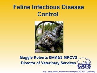 Feline Infectious Disease
         Control




  Maggie Roberts BVM&S MRCVS
  Director of Veterinary Services

              Reg Charity 203644 (England and Wales) and SCO37711 (Scotland)
 
