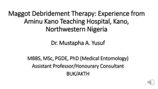 Maggot Debridement Therapy: Experience from
Aminu Kano Teaching Hospital, Kano,
Northwestern Nigeria
Dr. Mustapha A. Yusuf
MBBS, MSc, PGDE, PhD (Medical Entomology)
Assistant Professor/Honourary Consultant
BUK/AKTH
1
 