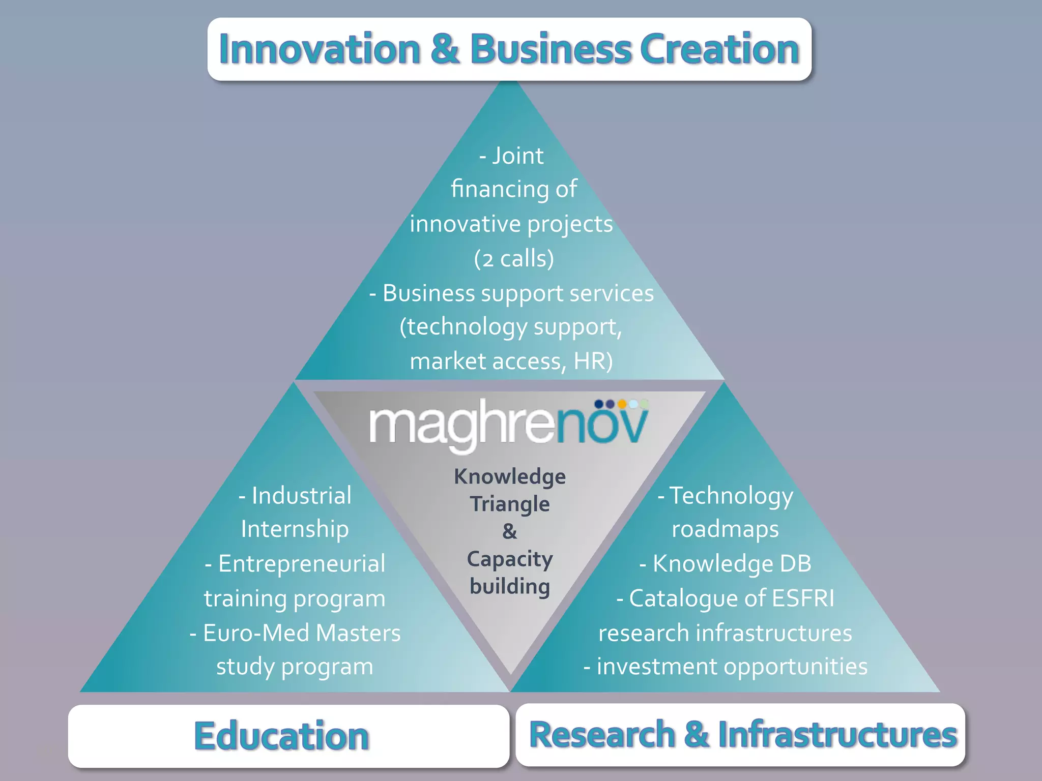 -­‐	
  Joint	
  
	
  ﬁnancing	
  of	
  	
  
innovative	
  projects	
  
	
  (2	
  calls)	
  
-­‐	
  Business	
  support	
  services	
  	
  
(technology	
  support,	
  
market	
  access,	
  HR)	
  

-­‐	
  Industrial	
  	
  
Internship	
  
-­‐	
  Entrepreneurial	
  
training	
  program	
  
-­‐	
  Euro-­‐Med	
  Masters	
  
study	
  program	
  
10/12/13	
  

Knowledge	
  
Triangle	
  
&	
  
Capacity	
  
building	
  

5	
  

-­‐	
  Technology	
  	
  
roadmaps	
  
-­‐	
  Knowledge	
  DB	
  
-­‐	
  Catalogue	
  of	
  ESFRI	
  	
  
research	
  infrastructures	
  
-­‐	
  investment	
  opportunities	
  

 