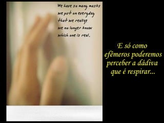 E só como
efêmeros poderemos
perceber a dádiva
que é respirar...
 