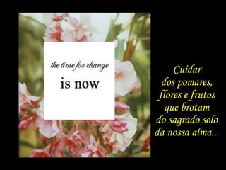 Cuidar
dos pomares,
flores e frutos
que brotam
do sagrado solo
da nossa alma...
 