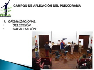 ORGANIZACIONAL. SELECCIÓN CAPACITACIÓN CAMPOS DE APLICACIÓN DEL PSICODRAMA www.peiac.org 