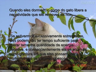 Quando eles dormem, o corpo do gato libera aQuando eles dormem, o corpo do gato libera a
negatividade que ele removeu de nós.negatividade que ele removeu de nós.
Se estivermos excessivamente estressados,Se estivermos excessivamente estressados,
eles podem não ter tempo suficiente paraeles podem não ter tempo suficiente para
liberar tamanha quantidade de energialiberar tamanha quantidade de energia
negativa, e conseqüentemente ela se acumulanegativa, e conseqüentemente ela se acumula
como gordura até que eles possam liberá-la.como gordura até que eles possam liberá-la.
Portanto, eles se tornarão obesos - e vocêPortanto, eles se tornarão obesos - e você
achava que era a comida com que você osachava que era a comida com que você os
alimentava!alimentava!
 