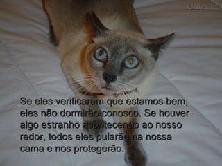 Se eles verificarem que estamos bem,Se eles verificarem que estamos bem,
eles não dormirão conosco. Se houvereles não dormirão conosco. Se houver
algo estranho acontecendo ao nossoalgo estranho acontecendo ao nosso
redor, todos eles pularão na nossaredor, todos eles pularão na nossa
cama e nos protegerão.cama e nos protegerão.
 