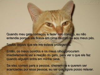 Quando meu gato começou a fazer isso comigo, eu nãoQuando meu gato começou a fazer isso comigo, eu não
entendia porque ele ficava em cima de mim ou aos meus pés.entendia porque ele ficava em cima de mim ou aos meus pés.
Soube depois que ele me estava protegendo.Soube depois que ele me estava protegendo.
Então, os meus ouvidos e os meus olhos procuramEntão, os meus ouvidos e os meus olhos procuram
imediatamente ver a reação do gato, para ver o que ele fazimediatamente ver a reação do gato, para ver o que ele faz
quando alguém entra em minha casa.quando alguém entra em minha casa.
Se eles correm para a pessoa, cheiram-na e querem serSe eles correm para a pessoa, cheiram-na e querem ser
acariciadas por essa pessoa, eu sei que agora posso relaxar.acariciadas por essa pessoa, eu sei que agora posso relaxar.
 