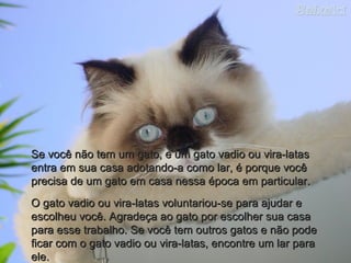 Se você não tem um gato, e um gato vadio ou vira-latasSe você não tem um gato, e um gato vadio ou vira-latas
entra em sua casa adotando-a como lar, é porque vocêentra em sua casa adotando-a como lar, é porque você
precisa de um gato em casa nessa época em particular.precisa de um gato em casa nessa época em particular.
O gato vadio ou vira-latas voluntariou-se para ajudar eO gato vadio ou vira-latas voluntariou-se para ajudar e
escolheu você. Agradeça ao gato por escolher sua casaescolheu você. Agradeça ao gato por escolher sua casa
para esse trabalho. Se você tem outros gatos e não podepara esse trabalho. Se você tem outros gatos e não pode
ficar com o gato vadio ou vira-latas, encontre um lar paraficar com o gato vadio ou vira-latas, encontre um lar para
ele.ele.
 
