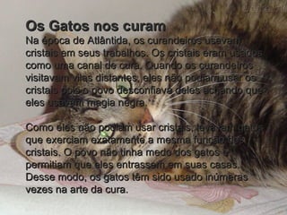 Os Gatos nos curamOs Gatos nos curam
Na época de Atlântida, os curandeiros usavamNa época de Atlântida, os curandeiros usavam
cristais em seus trabalhos. Os cristais eram usadoscristais em seus trabalhos. Os cristais eram usados
como uma canal de cura. Quando os curandeiroscomo uma canal de cura. Quando os curandeiros
visitavam vilas distantes, eles não podiam usar osvisitavam vilas distantes, eles não podiam usar os
cristais pois o povo desconfiava deles achando quecristais pois o povo desconfiava deles achando que
eles usavam magia negra.eles usavam magia negra.
Como eles não podiam usar cristais, levavam gatosComo eles não podiam usar cristais, levavam gatos
que exerciam exatamente a mesma função dosque exerciam exatamente a mesma função dos
cristais. O povo não tinha medo dos gatos ecristais. O povo não tinha medo dos gatos e
permitiam que eles entrassem em suas casas.permitiam que eles entrassem em suas casas.
Desse modo, os gatos têm sido usado inúmerasDesse modo, os gatos têm sido usado inúmeras
vezes na arte da cura.vezes na arte da cura.
 