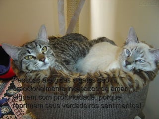 Pessoas alérgicas a gatos sãoPessoas alérgicas a gatos são
emocionalmente incapazes de amaremocionalmente incapazes de amar
alguem com profundidade, porquealguem com profundidade, porque
reprimem seus verdadeiros sentimentos!reprimem seus verdadeiros sentimentos!
 