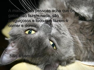 A maioria das pessoas acha que osA maioria das pessoas acha que os
gatos não fazem nada, sãogatos não fazem nada, são
preguiçosos e tudo que fazem épreguiçosos e tudo que fazem é
comer e dormir.comer e dormir.
Não é bem assim!Não é bem assim!
 