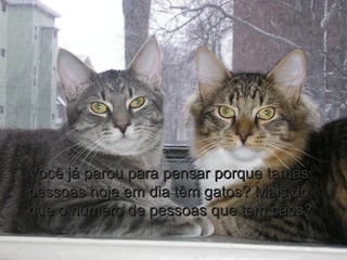 Você já parou para pensar porque tantasVocê já parou para pensar porque tantas
pessoas hoje em dia têm gatos? Mais dopessoas hoje em dia têm gatos? Mais do
que o número de pessoas que tem cães?que o número de pessoas que tem cães?
 