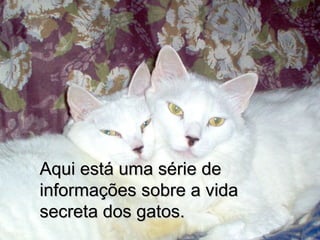 Aqui está uma série deAqui está uma série de
informações sobre a vidainformações sobre a vida
secreta dos gatos.secreta dos gatos.
 