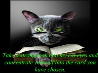 Take a strong look into my cat eyes and
concentrate yourself into the card you
have chosen.
 