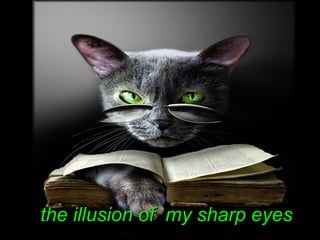 the illusion of my sharp eyesthe illusion of my sharp eyes
 