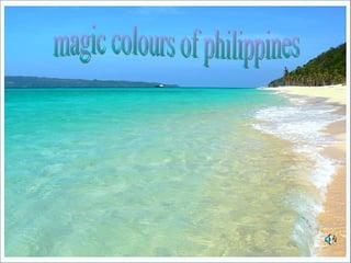 magic colours of philippines 