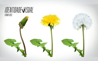IDENTIDADEvVISUALFORMA BASE
 