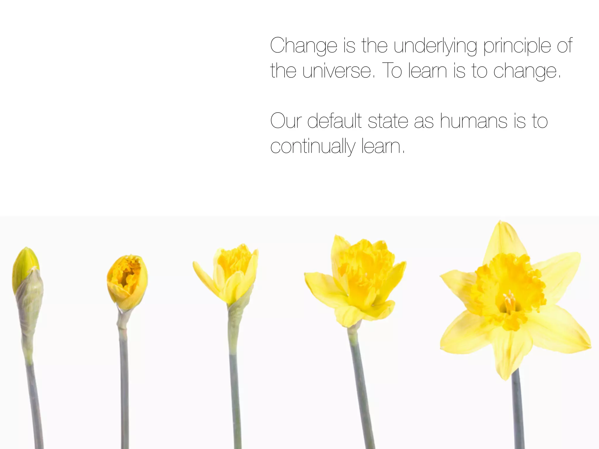 Change is the underlying principle of
the universe. To learn is to change.

Our default state as humans is to
continually learn.
 