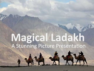 Magical Ladakh
A Stunning Picture Presentation
 