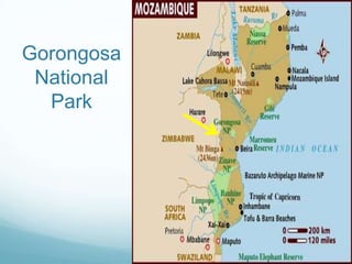 GorongosaNational Park