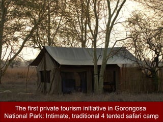 The first private tourism initiative in GorongosaNational Park: Intimate, traditional 4 tented safari camp