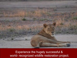 Experience the hugely successful & world- recognized wildlife restoration project.