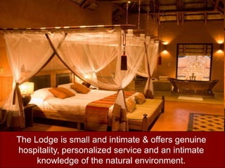 The Lodge is small and intimate & offers genuine hospitality, personalized service and an intimate knowledge of the natural environment. 
