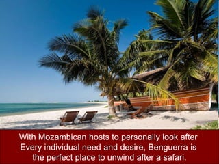 With Mozambican hosts to personally look after Every individual need and desire, Benguerrais the perfect place to unwind after a safari.