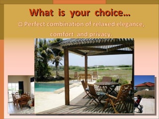 What  is  your  choice…   