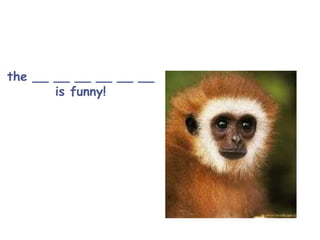 the __ __ __ __ __ __
is funny!
 